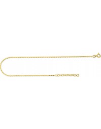 bijoux or-chaine or F50CH